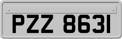 PZZ8631