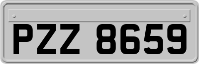 PZZ8659