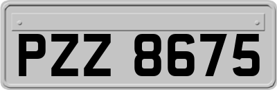 PZZ8675