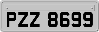 PZZ8699