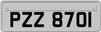 PZZ8701