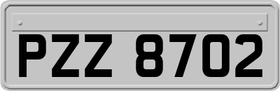 PZZ8702