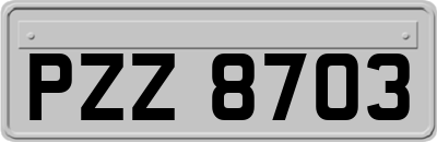 PZZ8703