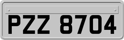 PZZ8704