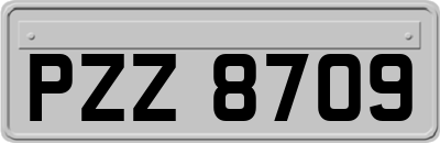 PZZ8709