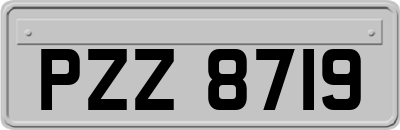 PZZ8719