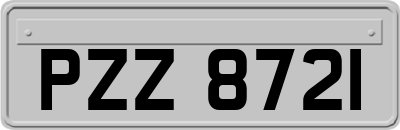 PZZ8721