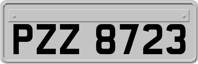 PZZ8723