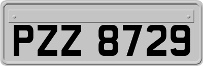 PZZ8729