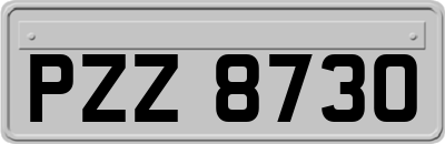 PZZ8730