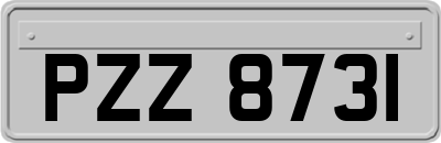 PZZ8731