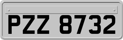 PZZ8732