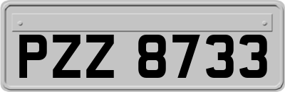 PZZ8733