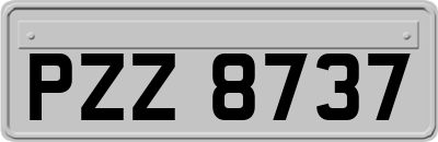 PZZ8737