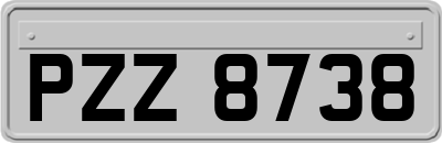 PZZ8738