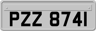 PZZ8741