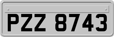 PZZ8743