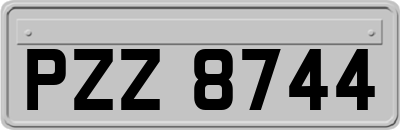 PZZ8744