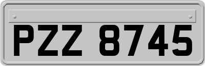 PZZ8745