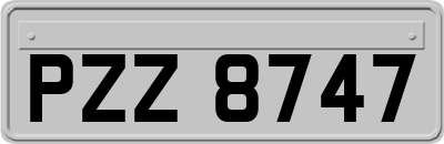 PZZ8747