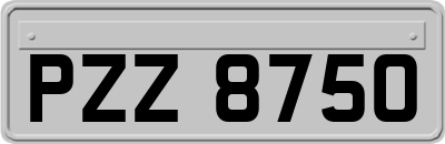 PZZ8750