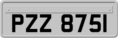 PZZ8751