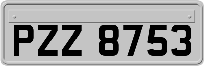 PZZ8753