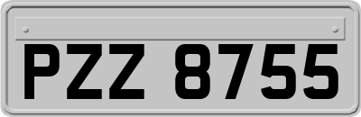 PZZ8755