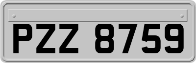 PZZ8759