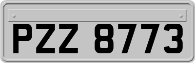 PZZ8773