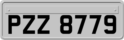 PZZ8779