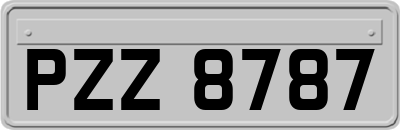 PZZ8787