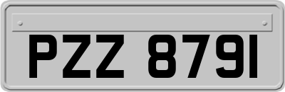 PZZ8791