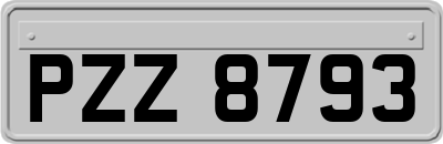 PZZ8793