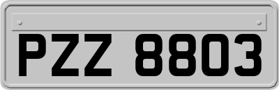 PZZ8803