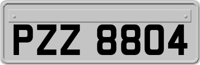 PZZ8804