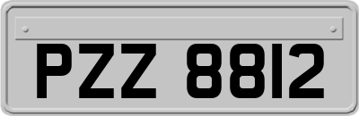 PZZ8812