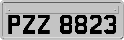 PZZ8823