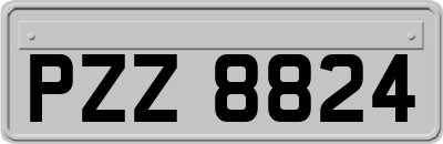 PZZ8824