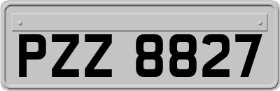 PZZ8827