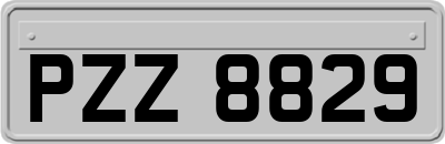 PZZ8829