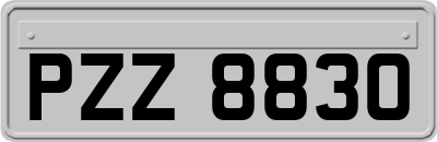 PZZ8830