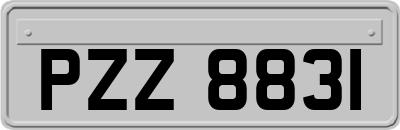 PZZ8831