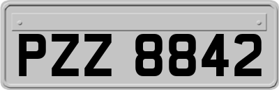 PZZ8842