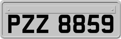 PZZ8859