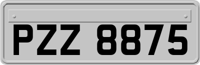 PZZ8875