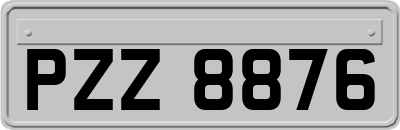 PZZ8876