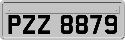 PZZ8879