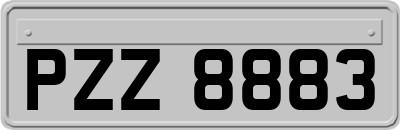 PZZ8883