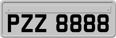 PZZ8888